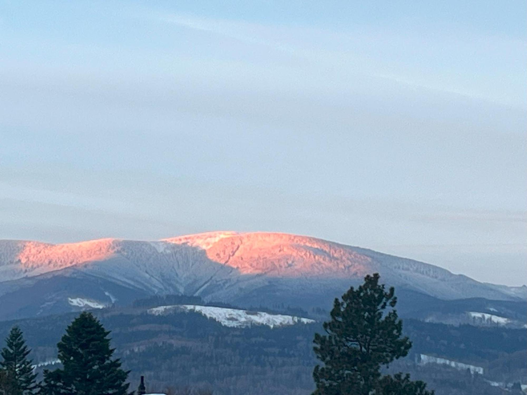 Apartmán Pod Dubem Jeseník Exteriér fotografie