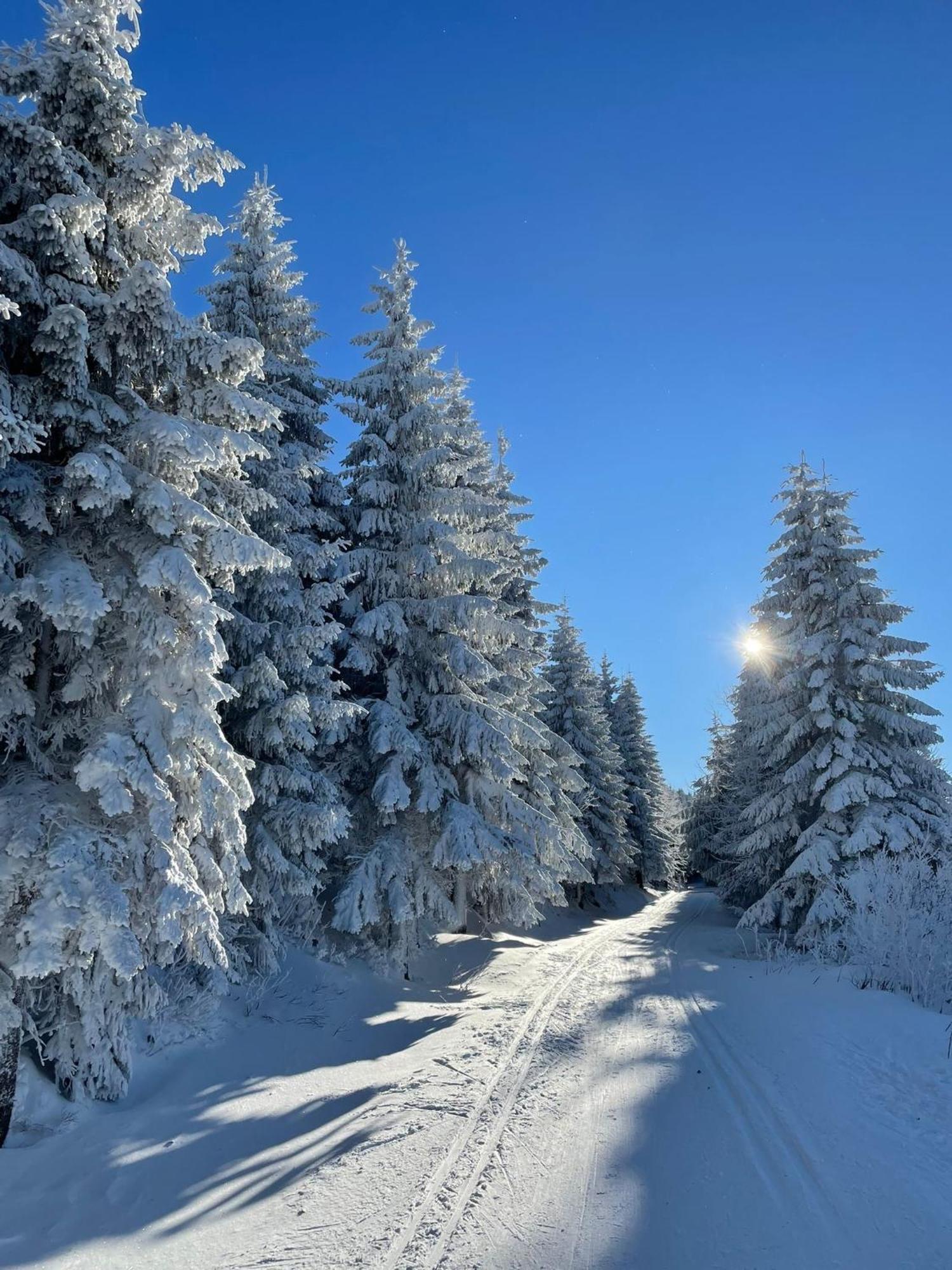 Apartmán Pod Dubem Jeseník Exteriér fotografie