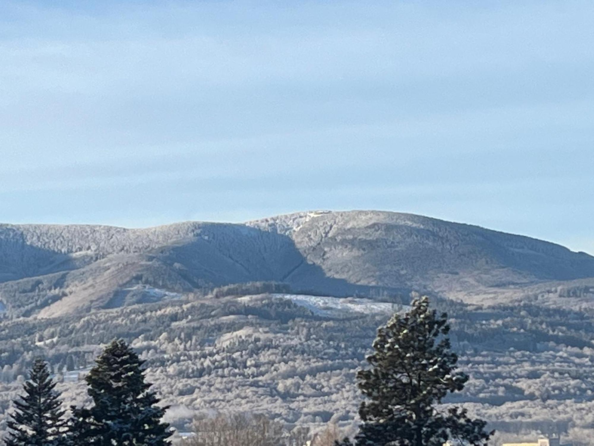 Apartmán Pod Dubem Jeseník Exteriér fotografie